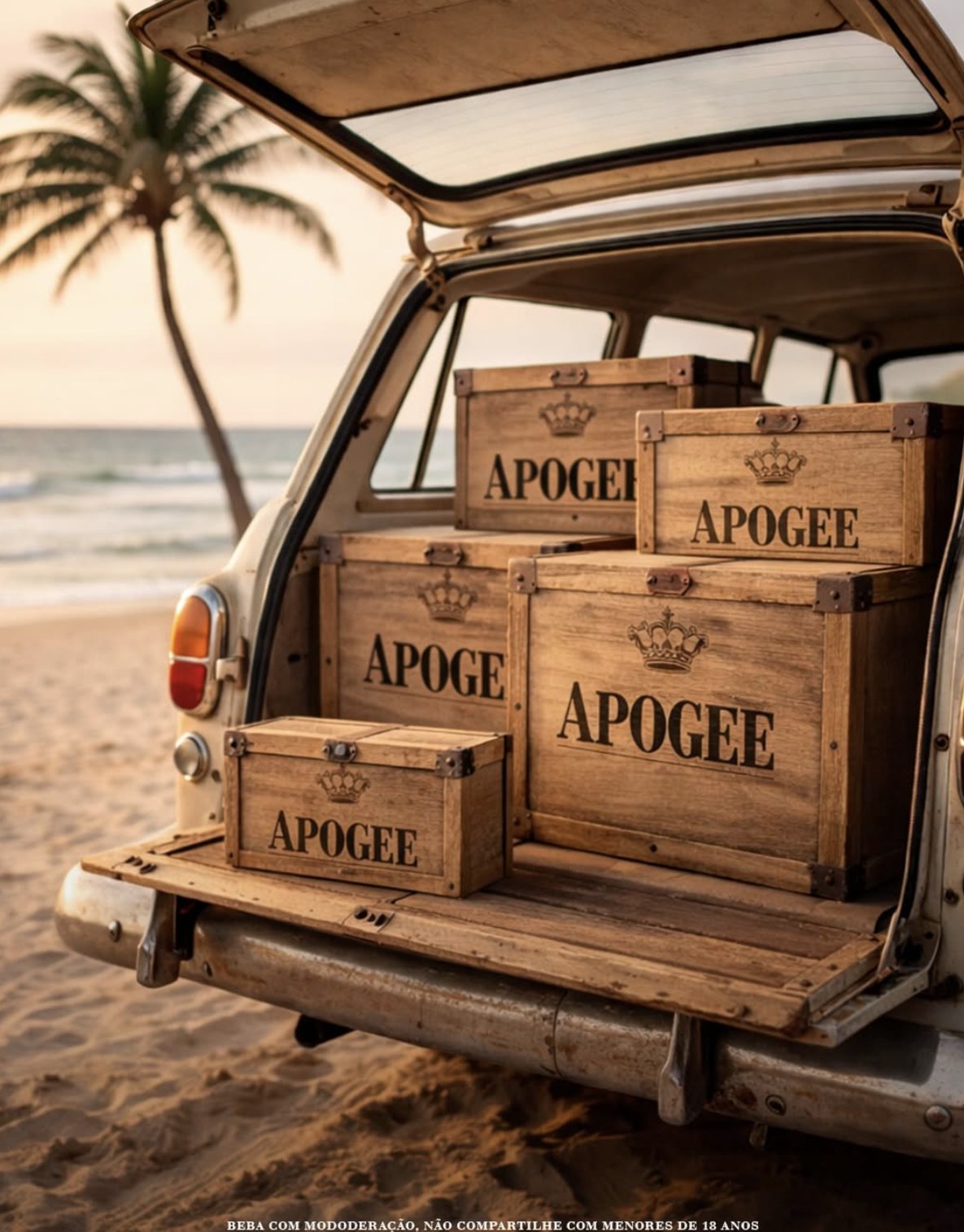 Garrafa Apogee Gin